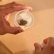 Set di anelli Torus per rigenerarsi